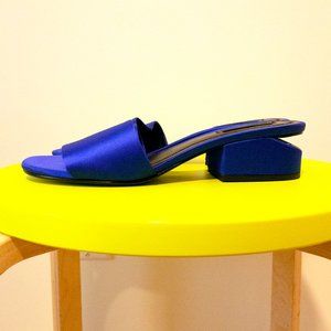 Never Worn Alexander Wang Electric Blue Sandal